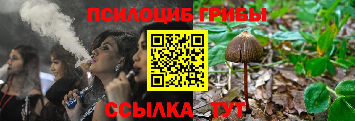 Псилоцибиновые грибы мухоморы  Вход с VPN  Мценск 